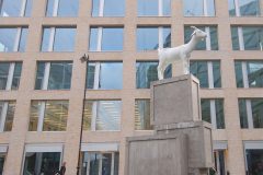 DPP_0040-1