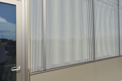 DPP0571