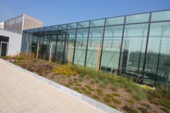 DPP_0042-1