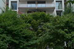 WP_20180709_11_14_17_Pro